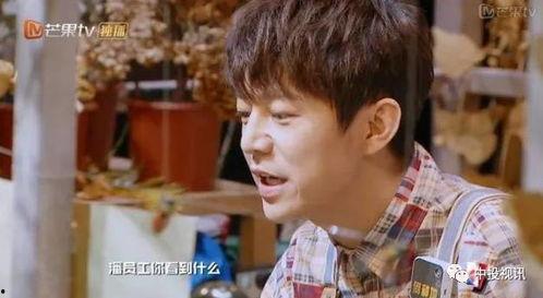 天天吃瓜视频在线看免费观看 明星大侦探,揭秘娱乐圈幕后故事，免费观看精彩瞬间！