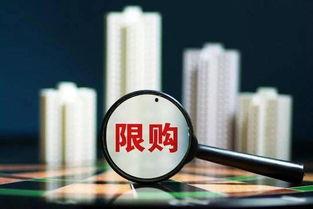 独家爆料欧弟生活趣事 社会热点话题事件2025,欧弟生活趣事与社会热点事件背后的故事